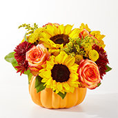 F7 - Golden Gourd Pumpkin