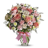 T37-1 - Cotton Candy