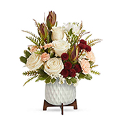 TEV72-9 - Raspberries & Creme