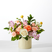 V5783-IFV - French Market