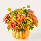 F13 - Gourdgeous Pumpkin