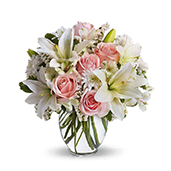 T55-2 - Serenity and Bliss