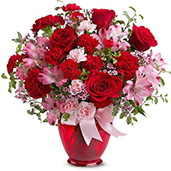 TEV38-2 - Blissfully Yours