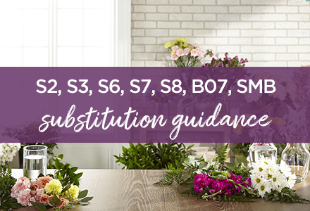 Substitution Guidance