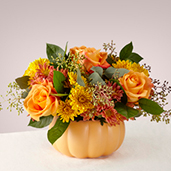 21-F2 - Pumpkin Spice Forever