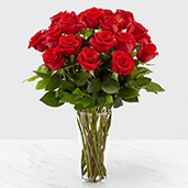 B59 - Long Stem Red Rose