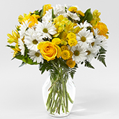 C5371 - Sunny Sentiments