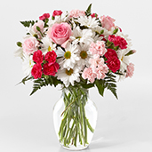 C5380 - Sweet Surprises