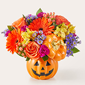 F11 - Tricks & Treats Pumpkin