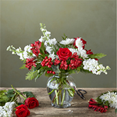 H-6022 - Merry Moment
