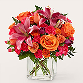 R5661 - Lucky Lily