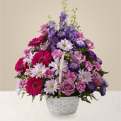 S29-4503X - Pastel Peace S29-4503X - Pastel Peace