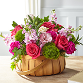 S5286 - Radiance in Bloom