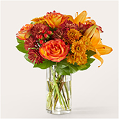 V5537 - Autumnal Aroma