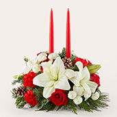 V5583 - Seasonal Festivities