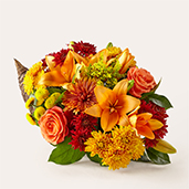 V5588 - Feast of Color