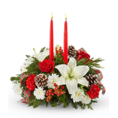 V5729 - Festive Evergreen Centerpiece