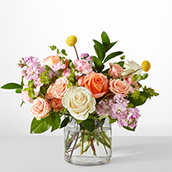 V5783 - French Market