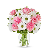 V7015 - Pastel Daisy & Rose Delight