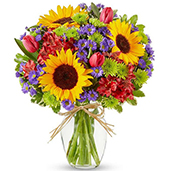 V7079 - Utopian Sunflower Garden