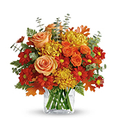 V7108 - Fall Fragrance