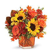V7109 - Most Appealing Autumn
