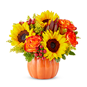 V7110 - Sunny Fall Pumpkin