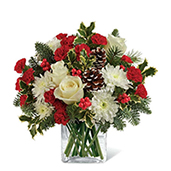 V7133 - Christmas Holly Hug