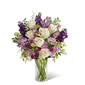 V7168 - Lush Lavender